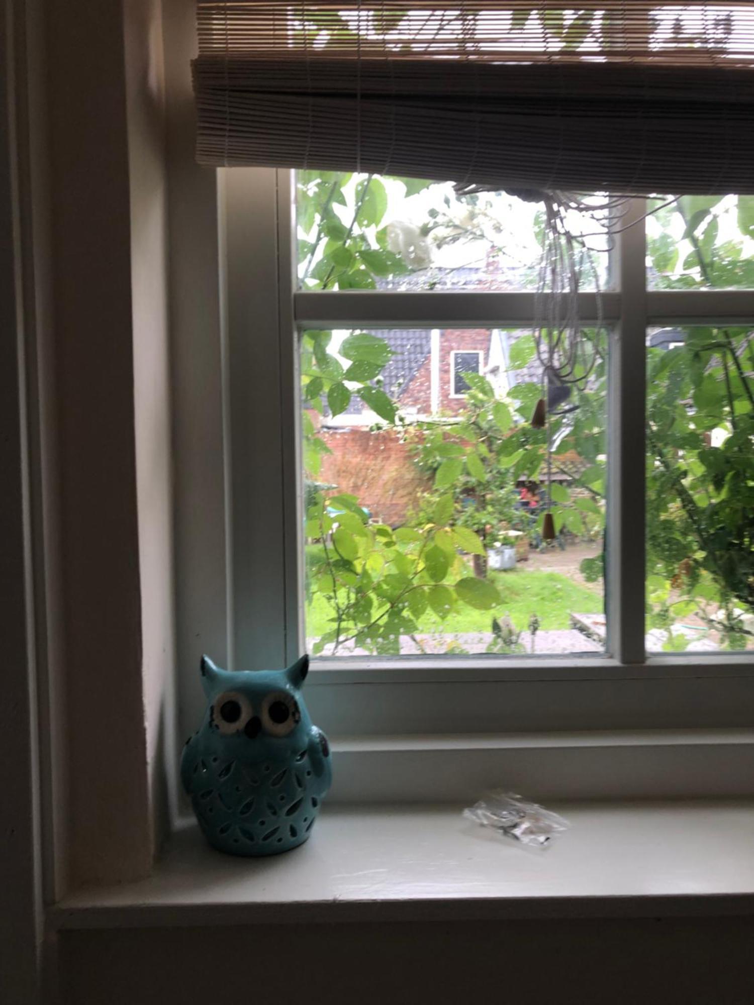 Appartement In Schuur Twisk 외부 사진